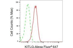 Flow cytometric analysis of KITLG expression in C2C12 cells using KITLG antibody (ABIN7799212), 1:2,000). (KIT Ligand 抗体)