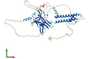 Protein Structure (PS) image for Potassium Inwardly-Rectifying Channel, Subfamily J, Member 3 (KCNJ3) (AA 1-501) protein (His tag) (ABIN7554239)