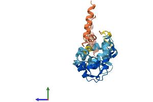Protein Structure (PS) image for Kv Channel Interacting Protein 4 (KCNIP4) (AA 1-250) protein (His tag) (ABIN7558086)