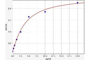Typical standard curve (K-RAS ELISA 试剂盒)