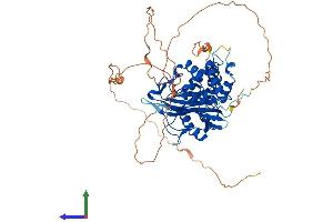 AlphaFold protein structure predicition of Human Recombinant USP21 Protein, UniprotID Q9UK80