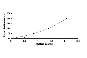 Typical standard curve (RIOK3 ELISA 试剂盒)