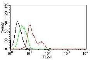 Flow Cytometry for human ER-alpha on MCF-7 cells. (Estrogen Receptor alpha 抗体  (AA 2-185))