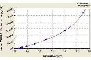 Typical Standard Curve (YWHAE ELISA 试剂盒)