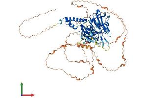 Protein Structure (PS) image for F-Box Protein 42 (FBXO42) (AA 1-717) protein (His tag) (ABIN7558049)