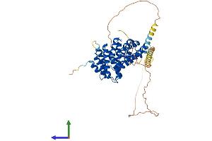 Protein Structure (PS) image for Ribosomal RNA Processing 1 Homolog A (RRP1) (AA 1-461) protein (His tag) (ABIN7551554)