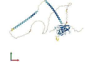 Protein Structure (PS) image for Sperm Associated Antigen 4 (SPAG4) (AA 1-443) protein (His tag) (ABIN7561586)