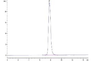 Size-exclusion chromatography-High Pressure Liquid Chromatography (SEC-HPLC) image for Platelet Derived Growth Factor Receptor beta (PDGFRB) (AA 33-531) protein (His tag) (ABIN7275443)