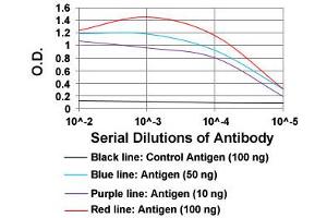 ELISA analysis of TIE1 monoclonal antibody, clone 8D12D2  at 1:10000 dilution. (TIE1 抗体  (AA 385-607))