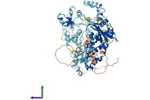 Protein Structure (PS) image for Ubiquitin Specific Peptidase 13 (Isopeptidase T-3) (USP13) (AA 1-863) protein (His tag) (ABIN7555920)