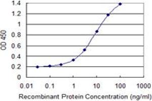 Detection limit for recombinant GST tagged CUL4A is 0. (Cullin 4A 抗体  (AA 1-100))