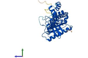 Protein Structure (PS) image for GTPase, IMAP Family Member 7 (GIMAP7) (AA 1-300) protein (His tag) (ABIN7547964)
