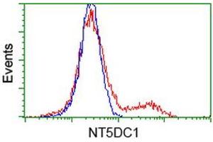 HEK293T cells transfected with either RC211087 overexpress plasmid (Red) or empty vector control plasmid (Blue) were immunostained by anti-NT5DC1 antibody (ABIN2453857), and then analyzed by flow cytometry. (NT5DC1 抗体)