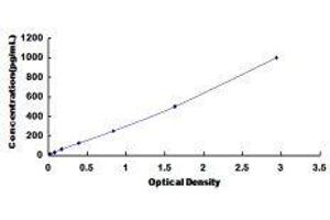 Peptidoglycan Recognition Protein 1 (PGLYRP1) ELISA Kit