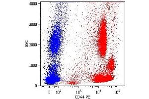 Surface staining of human peripheral blood cells with anti-human CD44 (MEM-85) PE. (CD44 抗体  (APC))