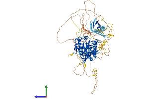 Protein Structure (PS) image for phosphofurin Acidic Cluster Sorting Protein 2 (PACS2) (AA 1-862) protein (His tag) (ABIN7563771)