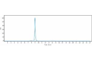anti-Glypican 2 (GPC2) antibody