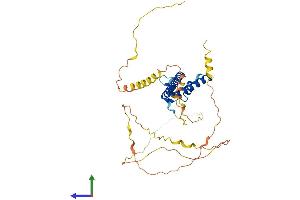 AlphaFold protein structure predicition of Mouse Recombinant Neurod1 Protein, UniprotID Q60867