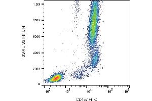Flow cytometry analysis (surface staining) of human peripheral blood leukocytes with anti-human CD157 (SY11B5) FITC. (BST1 抗体  (FITC))