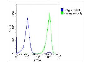 Overlay histogram showing U-2 OS cells stained with (ABIN6242373 and ABIN6578888)(green line). (Glutathione Peroxidase 7 抗体  (AA 73-107))