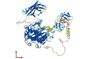 AlphaFold protein structure predicition of Mouse Recombinant Prkcd Protein, UniprotID P28867