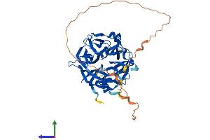 Protein Structure (PS) image for Sialidase 4 (NEU4) (AA 1-484) protein (His tag) (ABIN7549696)