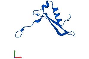 AlphaFold protein structure predicition of Mouse Recombinant Rps21 Protein, UniprotID Q9CQR2 (RPS21 Protein (AA 1-83) (Fc Tag))
