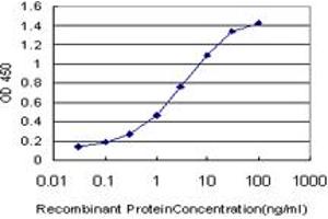 Detection limit for recombinant GST tagged E2F4 is approximately 0. (E2F4 抗体  (AA 211-301))