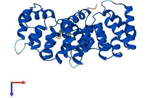 Protein Structure (PS) image for Annexin A10 (ANXA10) (AA 1-324) protein (His tag) (ABIN7552291)