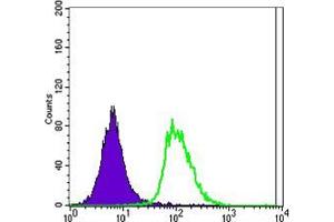 Flow Cytometry (FACS) image for anti-POU Class 5 Homeobox 1 (POU5F1) antibody (ABIN969329)