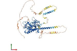 Protein Structure (PS) image for Heparan Sulfate 6-O-Sulfotransferase 2 (HS6ST2) (AA 1-605) protein (His tag) (ABIN7548235)