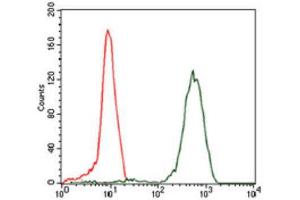 Flow Cytometry (FACS) image for anti-Eukaryotic Translation Initiation Factor 4B (EIF4B) antibody (ABIN1843563)