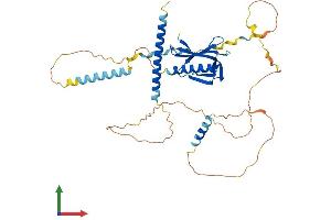 Protein Structure (PS) image for Ena-Vasodilator Stimulated Phosphoprotein (EVL) (AA 1-416) protein (His tag) (ABIN7547432)