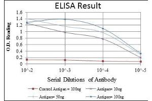 Red: Control Antigen (100 ng), Purple: Antigen (10 ng), Green: Antigen (50 ng), Blue: Antigen (100 ng), (FGG 抗体)