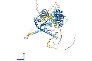 Protein Structure (PS) image for DEAD (Asp-Glu-Ala-Asp) Box Polypeptide 27 (DDX27) (AA 1-796) protein (His tag) (ABIN7553640)