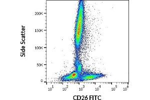 Flow cytometry surface staining pattern of human peripheral whole blood stained using anti-human CD26 (BA5b) FITC antibody (10 μL reagent / 100 μL of peripheral whole blood).