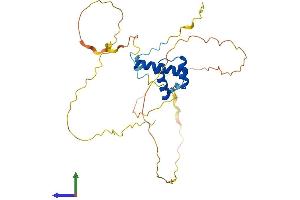 Protein Structure (PS) image for NK1 Homeobox 2 (NKX1-2) (AA 1-310) protein (His tag) (ABIN7549863)