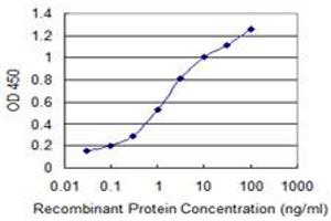 Detection limit for recombinant GST tagged ARFIP2 is 0. (ARFIP2 抗体  (AA 1-110))