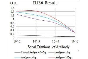 Black line: Control Antigen (100 ng), Purple line: Antigen(10 ng), Blue line: Antigen (50 ng), Red line: Antigen (100 ng), (CD33 抗体  (AA 15-237))