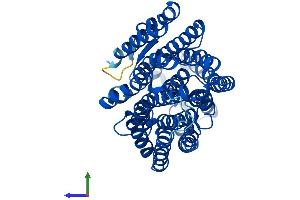 Protein Structure (PS) image for Mitochondrially Encoded NADH Dehydrogenase 4 (MT-ND4) (AA 1-459) protein (His tag) (ABIN7549964)