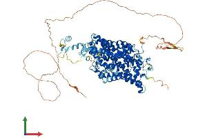 Protein Structure (PS) image for Solute Carrier Family 6 (Neurotransmitter Transporter, Glycine), Member 5 (SLC6A5) (AA 1-799) protein (His tag) (ABIN7564178)