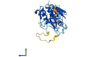 AlphaFold protein structure predicition of Mouse Recombinant Gucd1 Protein, UniprotID Q8BZI6