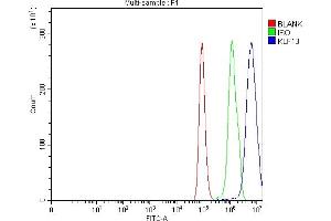 Flow Cytometry analysis of Hela cells using anti-KLF13 antibody (ABIN7602036). (KLF13 抗体  (AA 56-260))