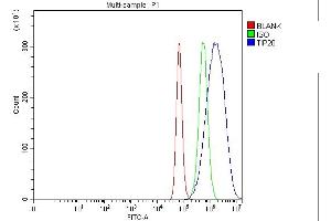 Flow Cytometry analysis of Hela cells using anti-TIP49A/RUVBL1 antibody (ABIN7599928). (RUVBL1 抗体  (AA 13-23))