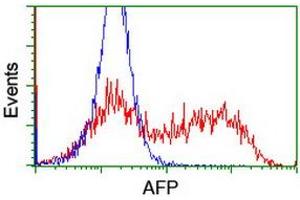 HEK293T cells transfected with either RC206622 overexpress plasmid (Red) or empty vector control plasmid (Blue) were immunostained by anti-AFP antibody (ABIN2454037), and then analyzed by flow cytometry. (alpha Fetoprotein 抗体)