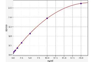 Typical standard curve (LGALS14 ELISA 试剂盒)