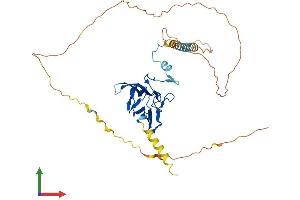 Protein Structure (PS) image for Smad Nuclear Interacting Protein 1 (SNIP1) (AA 1-396) protein (His tag) (ABIN7546328)