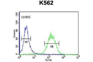 Flow Cytometry (FACS) image for anti-Acyl-CoA Synthetase Bubblegum Family Member 2 (ACSBG2) (AA 244-273), (Middle Region) antibody (ABIN950254)