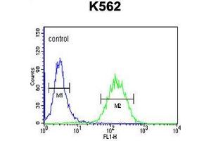 ACBG2 Antibody (Center) flow cytometric analysis of K562 cells (right histogram) compared to a negative control cell (left histogram). (ACSBG2 抗体  (Middle Region))