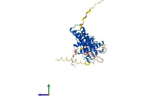 AlphaFold protein structure predicition of Human Recombinant FKBP8 Protein, UniprotID Q14318 (FKBP8 Protein (AA 1-412) (His tag))
